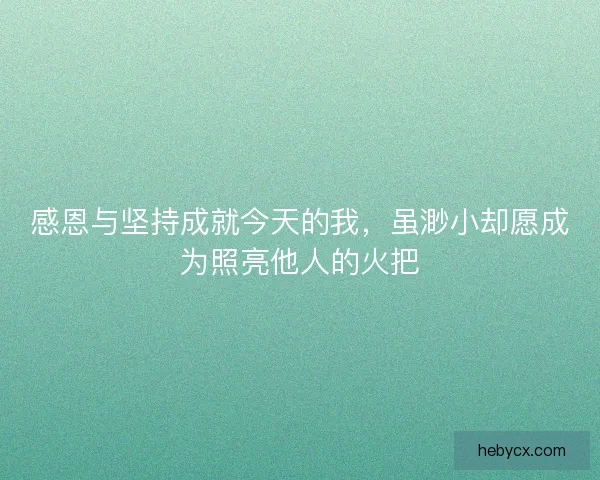 感恩与坚持成就今天的我，虽渺小却愿成为照亮他人的火把